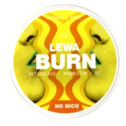 LEWA Burn Citrus & Mint Nikotinfritt snus 1 dosa