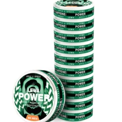 LEWA Power Apple & Spruce Nikotinfritt snus 10-pack