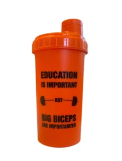 North Nutrition Big Biceps Orange 700ml