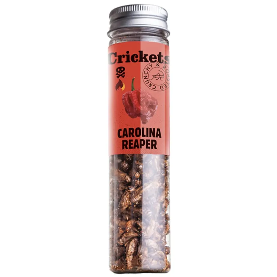 SENS HOT Crickets Gift Set