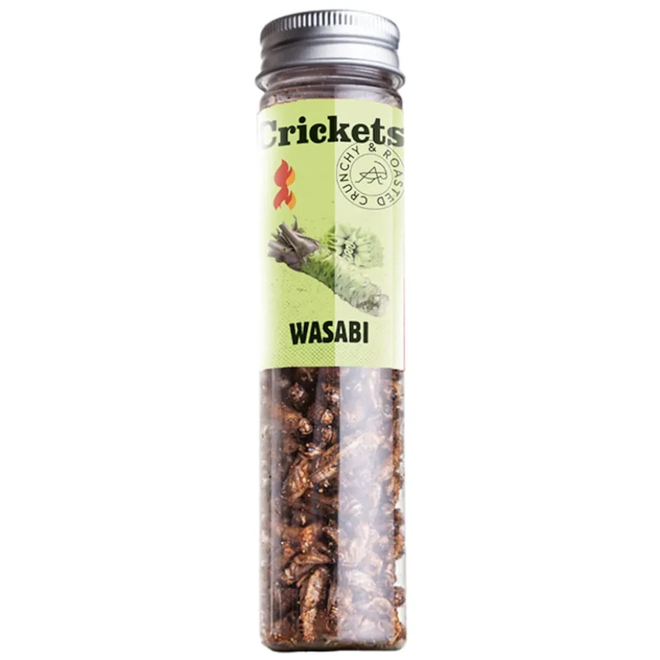 SENS HOT Crickets Gift Set