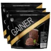 Swedish Supplements Performance Gainer 3x2,5kg