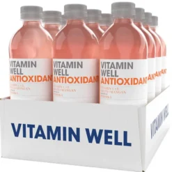 Vitamin Well Antioxidant Persika 12x500ml